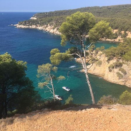 Sanary sur Mer Appartement 30m2 T2 avec terrasse Piscine 10min à pied de la plage Exterior foto